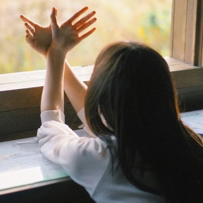 不及将军送我情